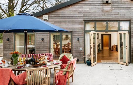 Silver Birch patio area