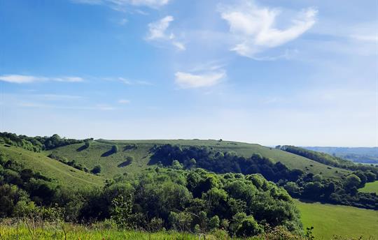 View from Old Winchester Hill