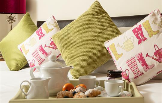 Breakfast in bed in Glenside