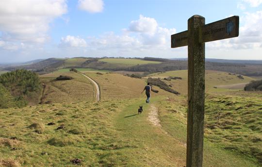 Walking in the South Downs
