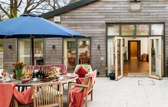 Silver Birch patio area
