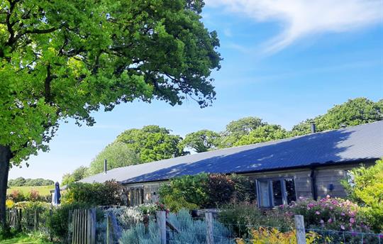 Hedgehunter garden on a sunny summer day