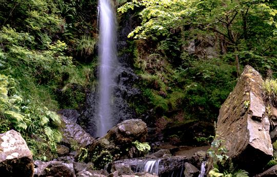 Mallyan Spout waterfall