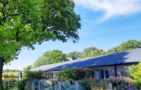 Hedgehunter garden on a sunny summer day