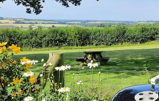 View from Sundew garden across our meadow