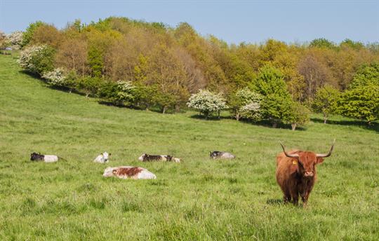 Relax in 60 acres of private grounds and woodland