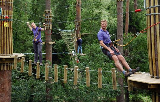 Go Ape is located in Dalby Forest