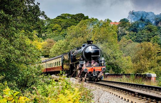 Only 1 mile from Pickering and the NYMR