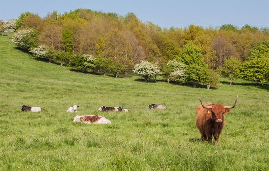 Relax in 60 acres of private grounds and woodland