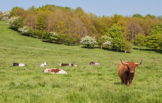 Relax in 60 acres of private grounds and woodland