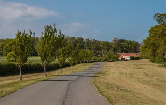 Entrance Drive up to High Oaks Grange