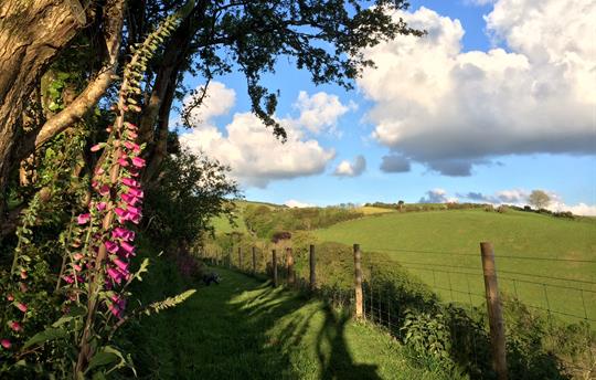 Beautiful places to walk