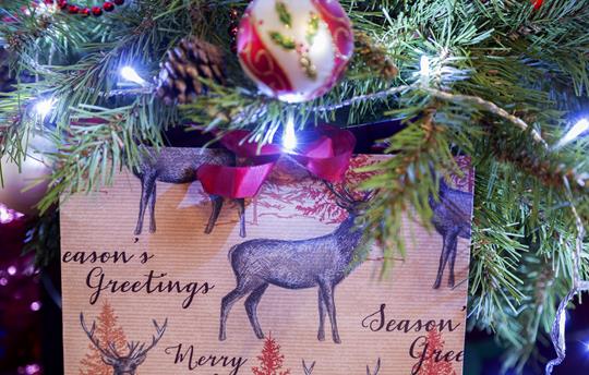 Ho Ho Ho ... seasonal decorations