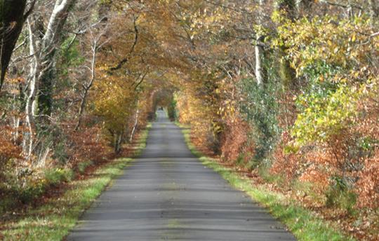 Doorstep Country Walk with Autumn Colours 
