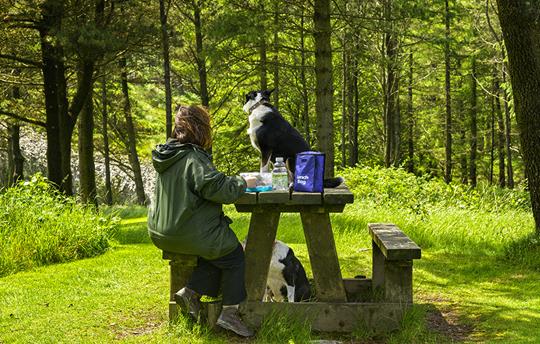 Time for a break with your best friend