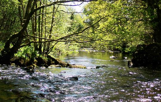 Dwyfach River that flows through nearby farmland