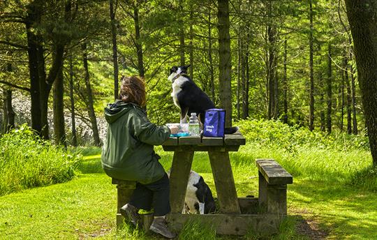 Time for a break with your best friend