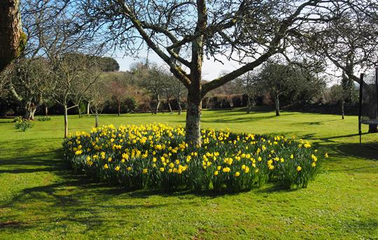 Orchard Garden for relaxing and recreation