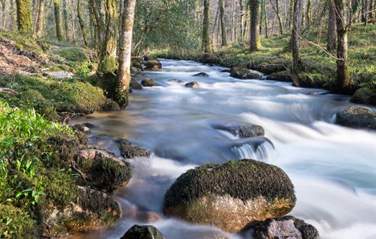 The nearby River Dart in full flow