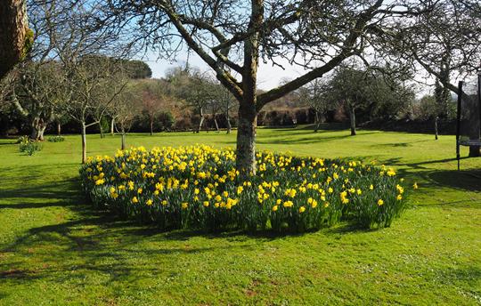 The Orchard Garden in Spring time