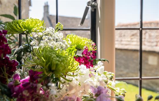 Looking out through living room window
