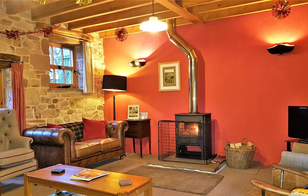 Lounge with cosy woodburner