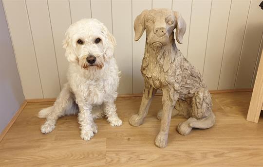 High Oaks Grange is Dog Friendly