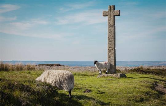 Located in the North York Moors National Park