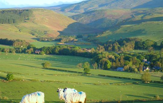 Ingram and Cheviot Holiday Cottages early morning