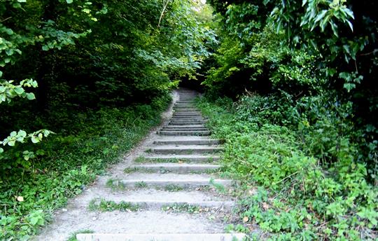 Walking along the South Downs Way