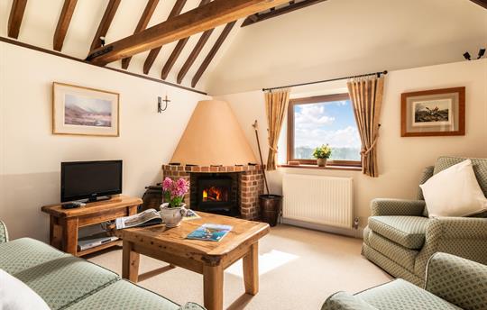 Comfortable lounge with fire