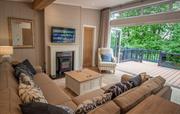 Large sofa with fabulous woodland views