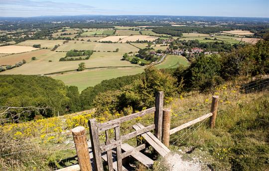 The South Downs Way