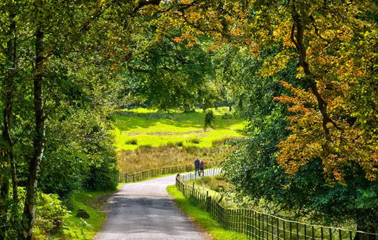 Country Lanes