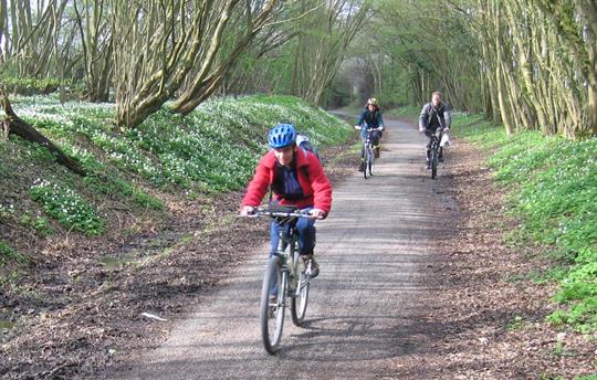 Cuckoo Trail - easy cycling