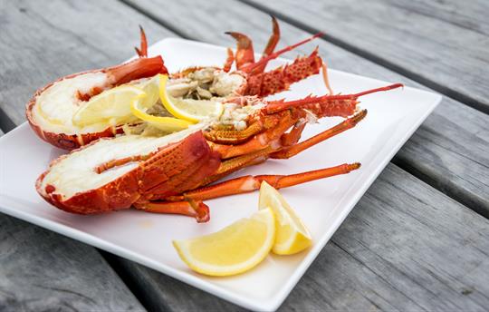 Fresh lobster from the coast