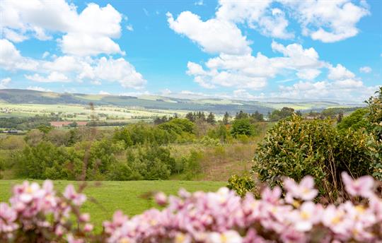 Views from The Lodge 