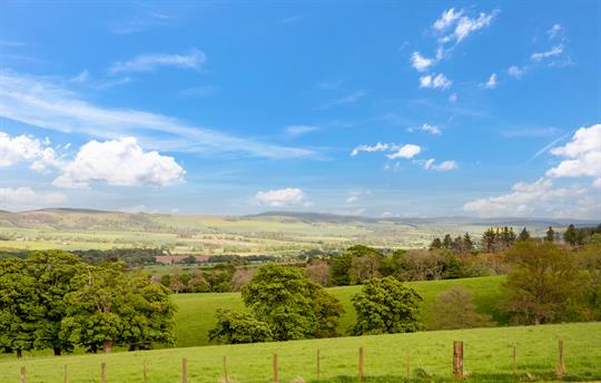 The view from the Lodges