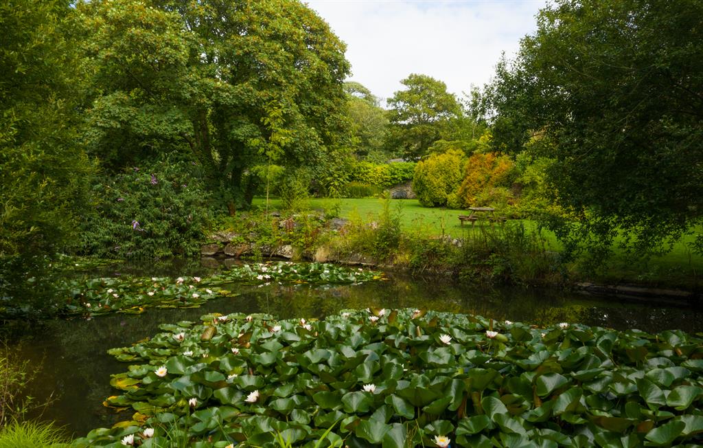 Garden with ponds at Broomhill