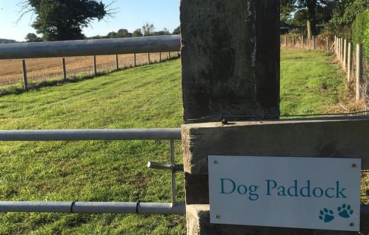 Dog paddock