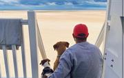 Wells beach has dog friendly beach huts for hire