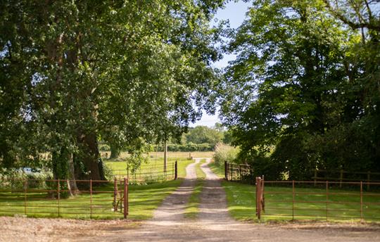 View from the front of Tincleton Lodge 