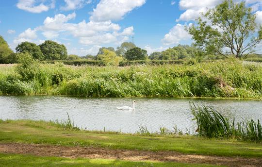 View across the Lake - south side 