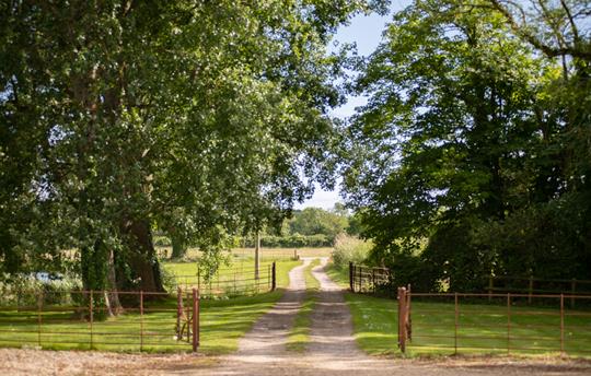 View from the front of Tincleton Lodge 