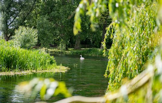 View from bridge - Eweleaze First lake