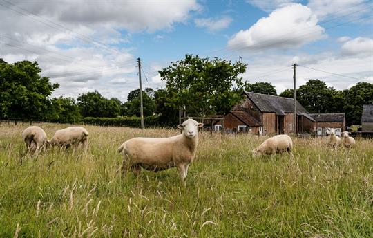 Cider Press Neighbours and view