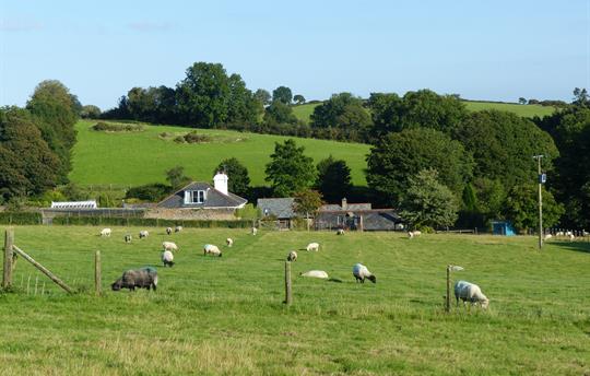 The Farm and surrounding fields
