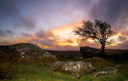 Dartmoor National Park