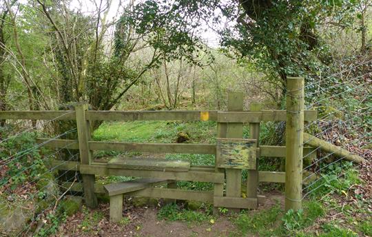 Lovely walks on the Farm