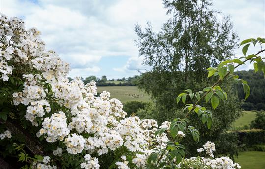 View from Brambles Balcony across the valley
